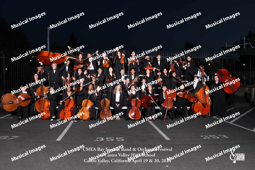 Musical Images